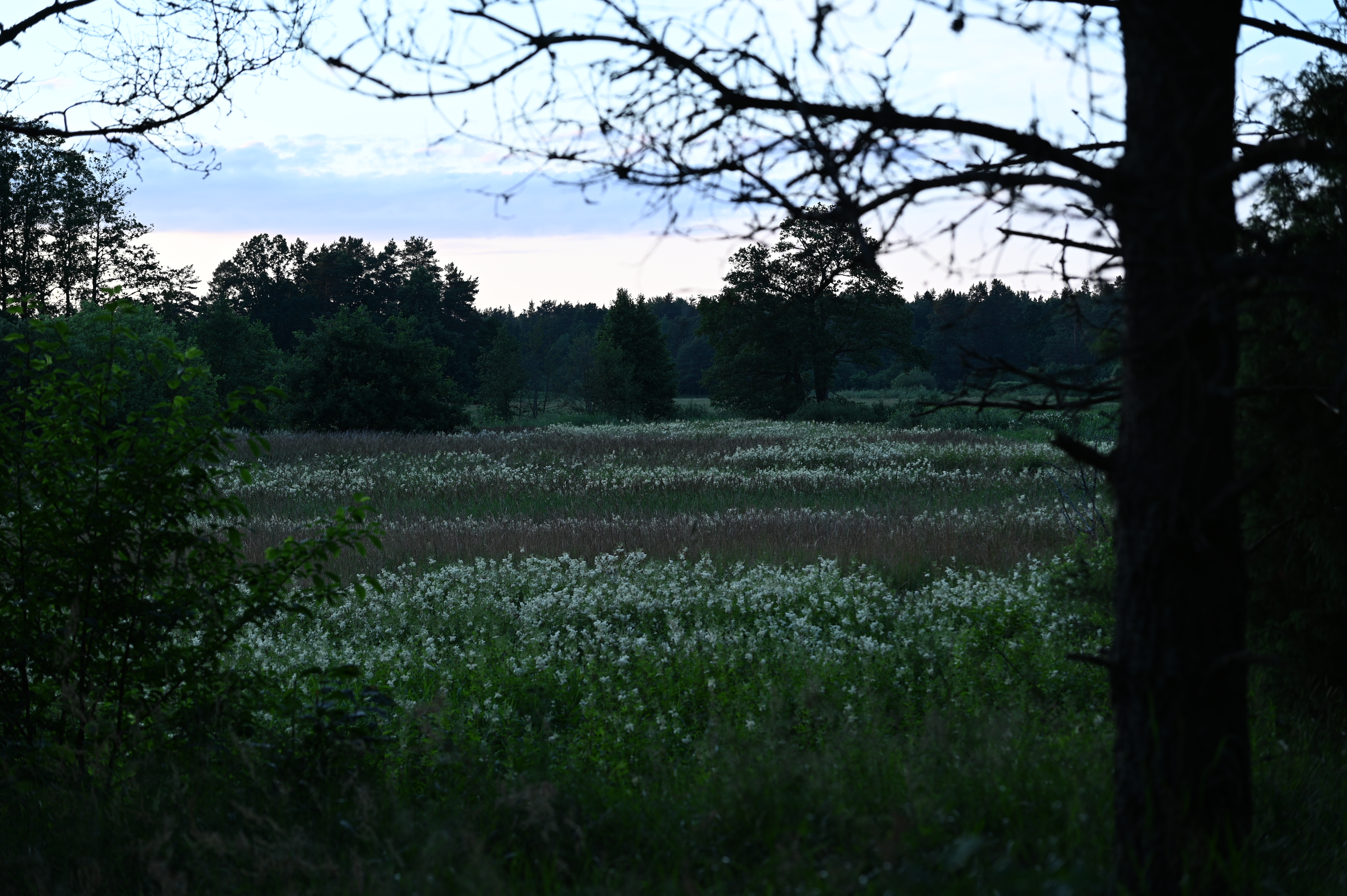 2025/07/09-14 - trip/DSC_0084.JPG